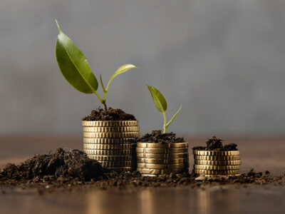 stacked-coins-with-dirt-plant